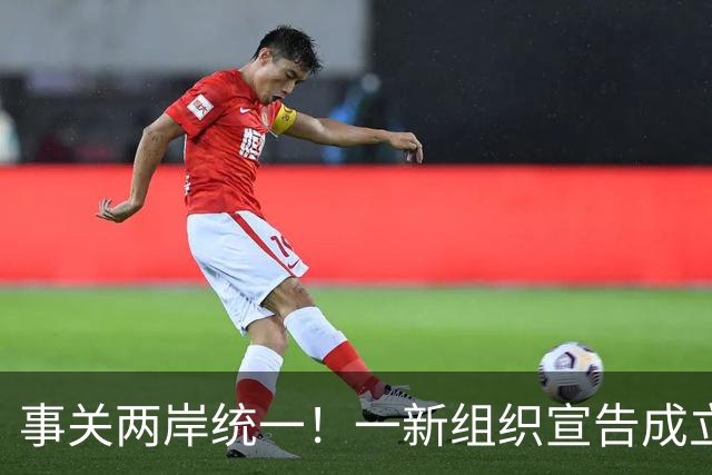 事关两岸统一！一新组织宣告成立，台残存＂邦交国＂火速对华表态