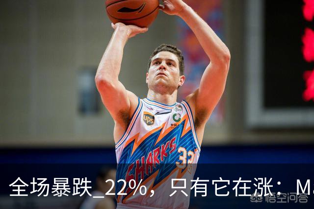 全场暴跌 22%，只有它在涨：Mate 80 的 900 万台是谁买的？