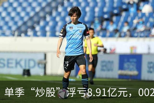 单季“炒股”浮亏8.91亿元，002074跌停