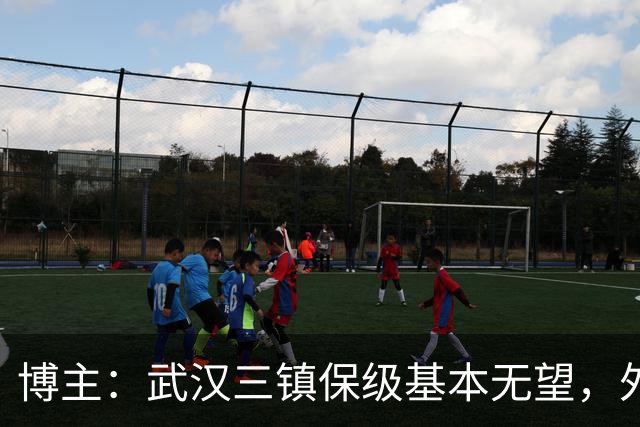 博主：武汉三镇保级基本无望，外援卡迪斯和绍尔成“抢手货”
