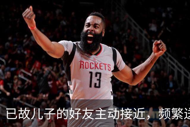 已故儿子的好友主动接近，频繁送上小恩小惠，赢得了女子信任，有一天家人发现其微信和支付宝资金有异常……儿子好友被判刑