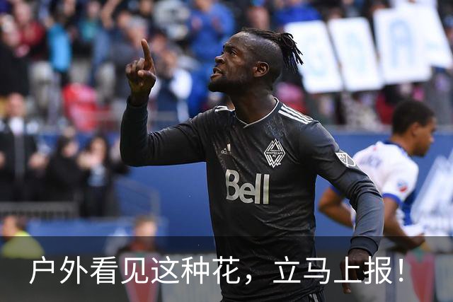 户外看见这种花，立马上报！